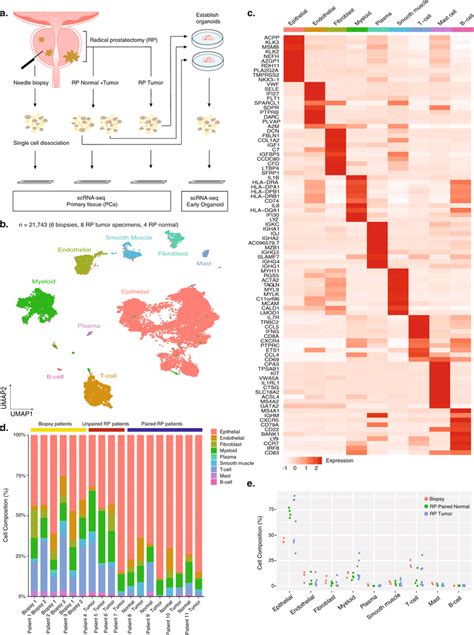 Prostate Cancer Pca Sample Single Cell Rna Sequencing Overview And Download Scientific