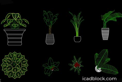 Indoor Plants Cad Blocks In Dwg Full Collection Icadblock