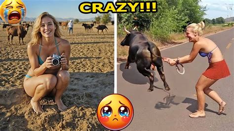 Crazy Funniest Videos Ever In The World Try Not To Laugh Challenge