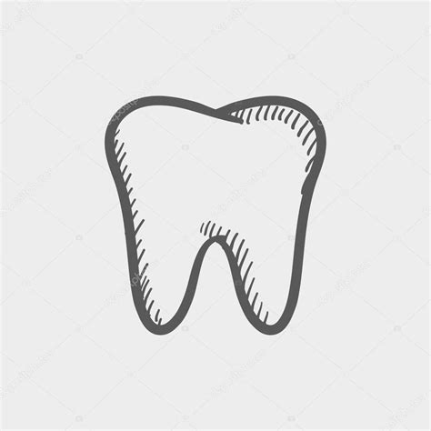 Tooth Sketch Icon Stock Vector By Visualgeneration