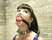 Summer Cummings Nude Pornstar Search Results