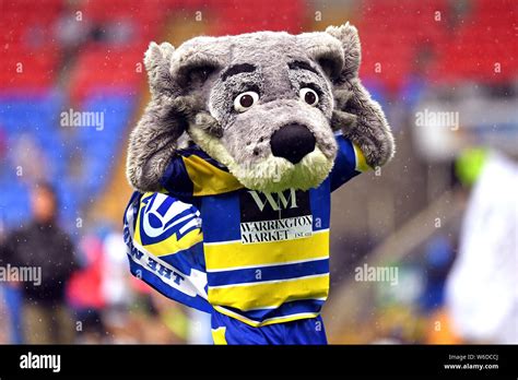 Warrington Wolves Mascot High Resolution Stock Photography And Images