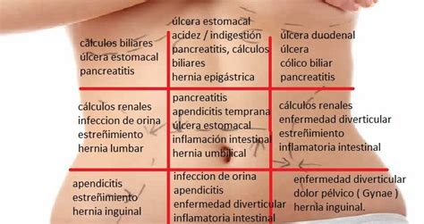 Dolor abdominal posibles causas del dolor por ubicación Dolor