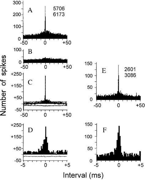 Cross Correlogram Ccg Of The Spike Trains Of Two Thalamocortical