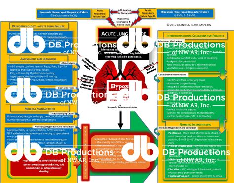 Acute Lung Failure Concept Map Deanne Blach Db Productions