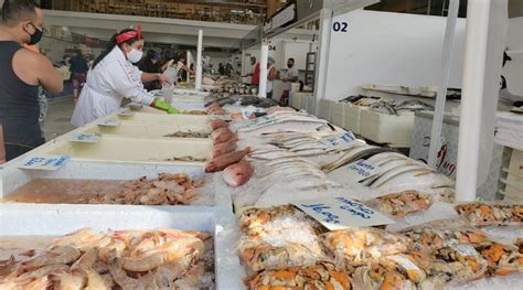 Novo Mercado de Peixes abre ao público veja fotos Diário do Litoral