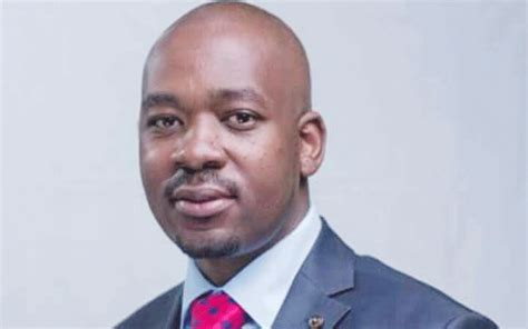 Bots Opposition Poll Victory Charms Chamisa Zimbabwe Situation