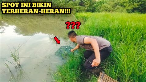 Cara Pasang Bubu Payung Di Spot Rawa Ikan Udang Kepiting Keong