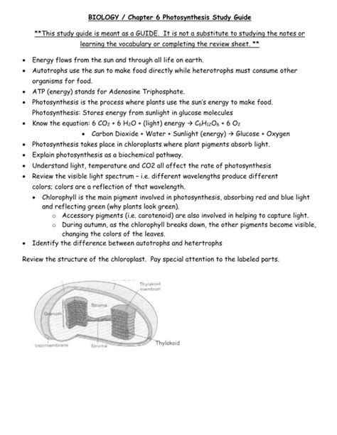 Photosynthesis Study Guide