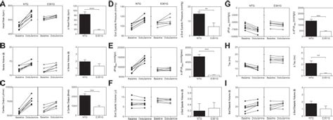 A Dilated Cardiomyopathy Mutation Blunts Adrenergic Response And