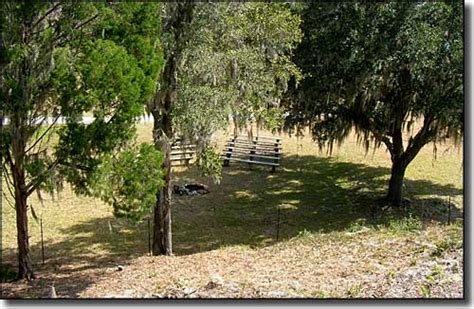 Crystal River Archaeological State Park