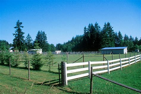 Black Creek Vancouver Island News Events Travel Accommodation