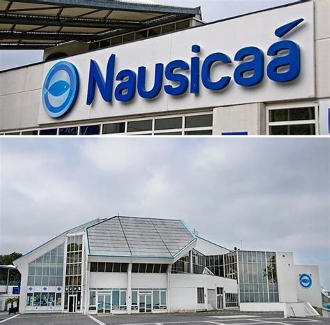 Albums Pictures Nausica Centre National De La Mer Updated