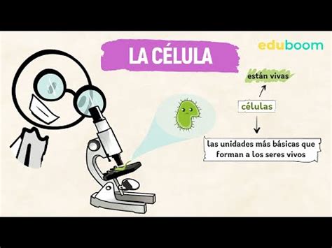 Descubre Las Mejores Unidades Did Cticas De Biolog A Y Geolog A Para