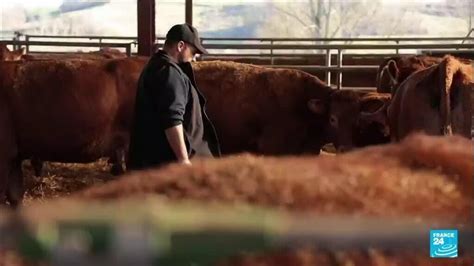 Colère des agriculteurs que dit le traité entre lUE et le Mercosur