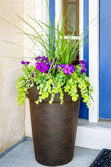 Planting A Garden Vase In Easy Steps Unsophisticook