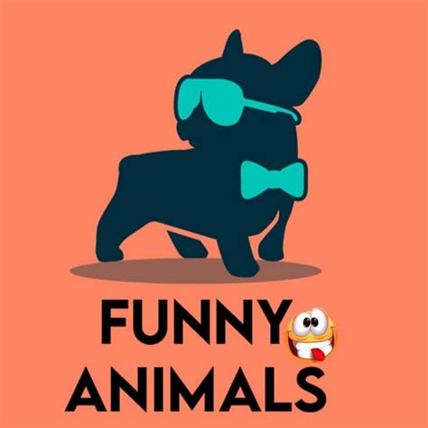 Funny Animals Youtube