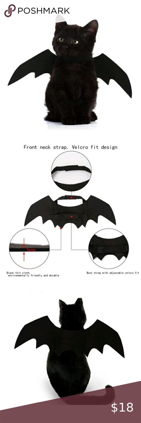 COPY - Cat wings costume Halloween bat photo session black cat bat ...