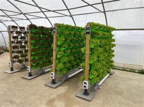 Increase Crop Production with Smart Vertical Agriculture Systems at PlugZenGrow - Greenroofs.com