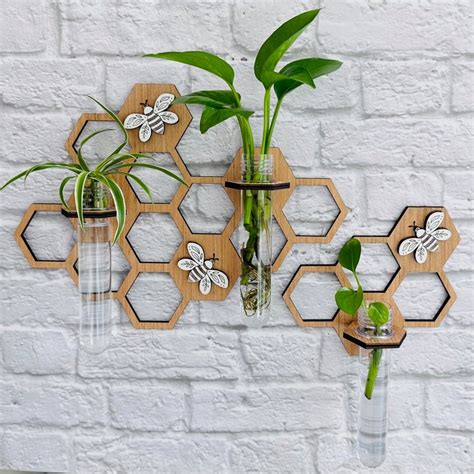 Honeycomb And Bee Propagation T For Plant Lover Hanging Plant