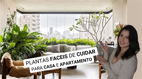 Como Usar Plantas Na Decora O Dicas De Plantas Faceis De Cuidar