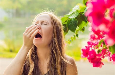 Alergia Primaveral C Mo Afecta A Los Regios Posta Nuevo Le N