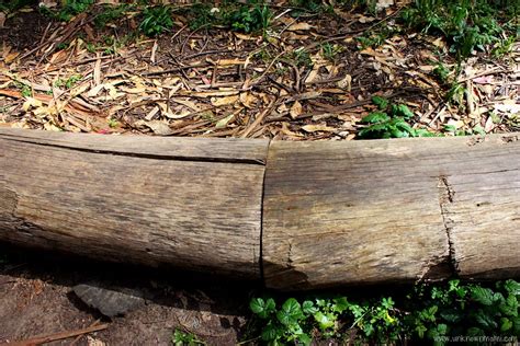 Wood Line By Andy Goldsworthy In The Presidio Sundays In My City By