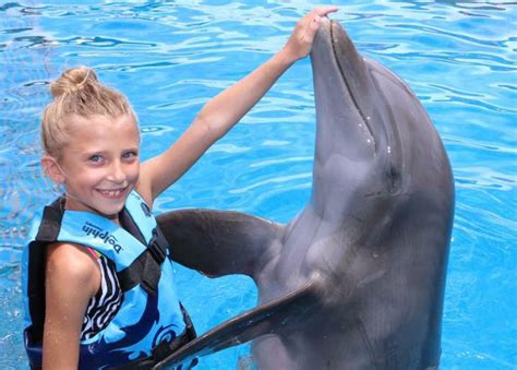 Swim With Dolphins Panama City Beach All You Need Infos