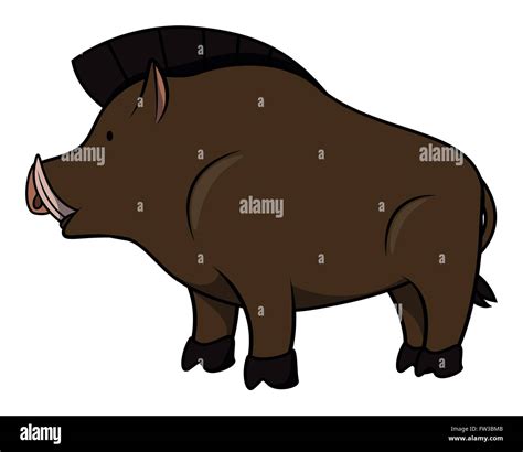 Wild Boar Cartoon Illustration Stock Vector Image And Art Alamy