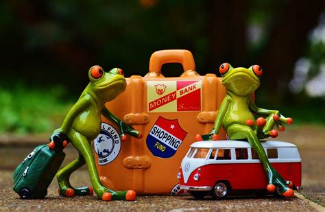 Frosch Reisen Urlaub Kostenloses Foto Auf Pixabay