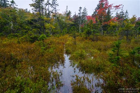 Bowditch Trail And Long Pond Trail Photos Joe S Guide To Acadia