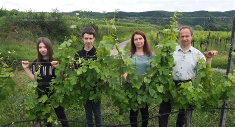 Weingut Weingut Franz Leopold