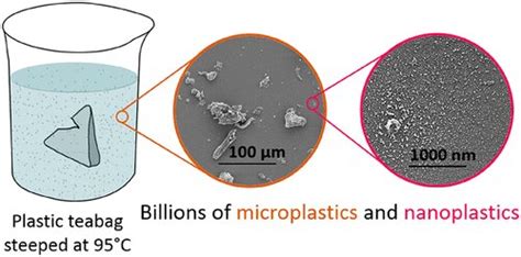 Plastic Teabags Release Microscopic Particles Into Tea