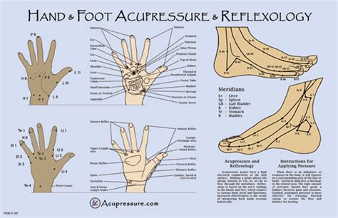 Hand And Foot Reflexology Poster Clinical Charts And Supplies