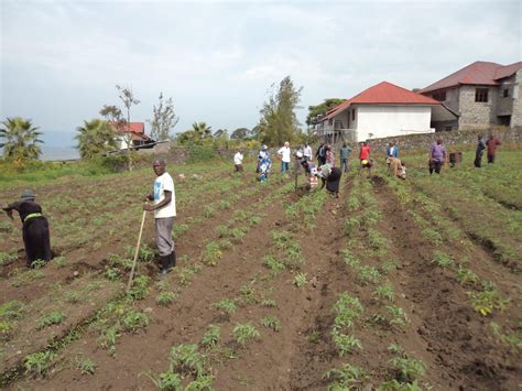 Wie man Biodünger sicher und effektiv zusammenstellt und einsetzt