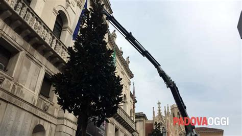 Arriva Flormart E Il Centro Si Riempie Di Verde