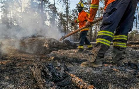 Combatentes De Incêndios Florestais Realizam Curso De Comando De