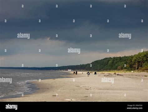 Stegna Poland September 4 2020 A Wonderful Beach For Long Walks On