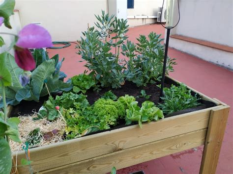 Cómo empezar un huerto urbano en una mesa de cultivo Urban Cultiving