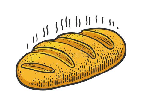 Bread Loaf Sketch Engraving Vector Illustration Stock Vector - Illustration of engraving, sketch ...