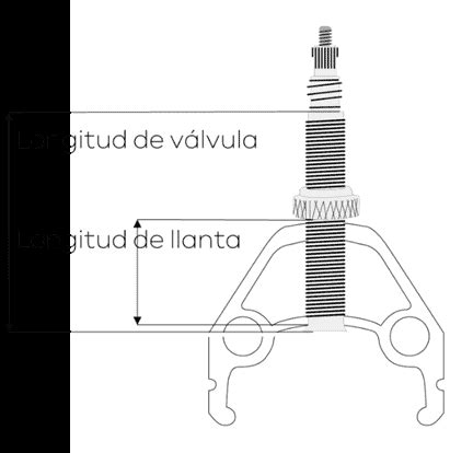 Qué es el sistema tubeless y cómo funciona Sistema tubeless bicicletas