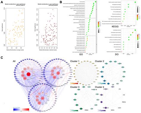 Weighted Gene Coexpression Network Analysis Identifies The Key Role