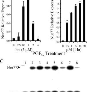 Pgf Induces Nur Mrna Expression In A Time And Dose Dependent Manner