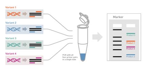 What is multiplex PCR?