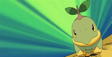 361+ Cool & Cute Awesome Turtwig Nicknames AI Listed