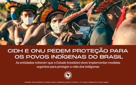 Cidh E Onu Pedem Prote O Para Os Povos Ind Genas Do Brasil Apib