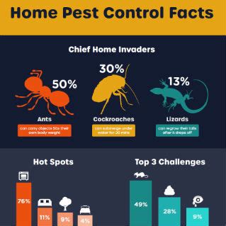 Infographics Rentokil Pest Control Singapore