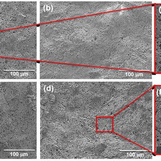 SEM Micrographs Of Fracture Surfaces Of The LZS Glass Ceramic Without