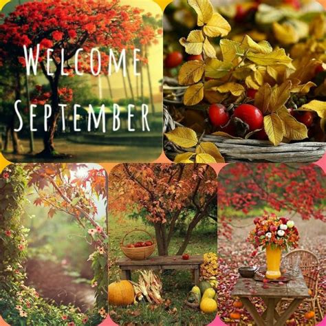 Pin di irene 76 su Autumn | Settembre, Anniversari, Natura 