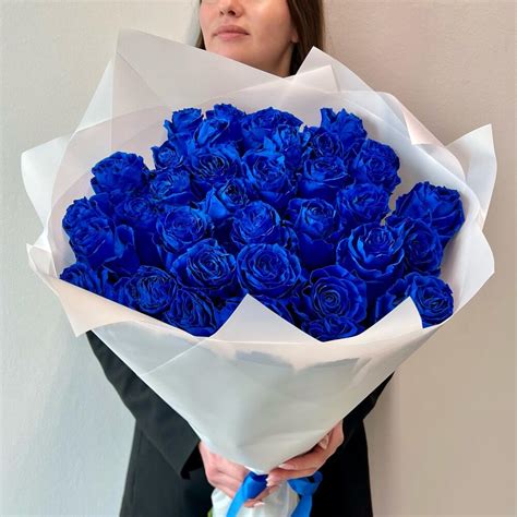 rozy buket iz  sinix roz ekvador nizkie ceny bolsoi vybor cvetov